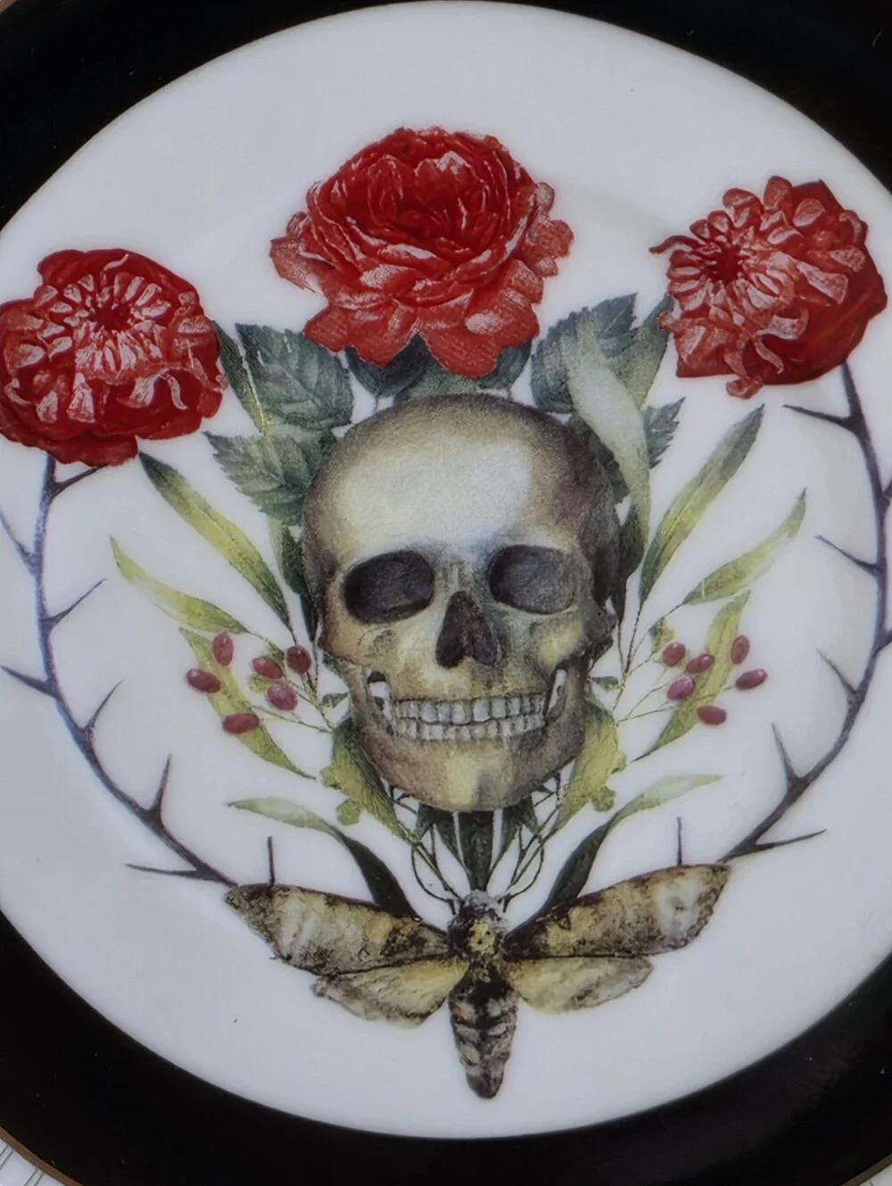 Park Chateau Elegance 2 Piece Skull Roses Moth Tea Cup and Saucer Gold Trim